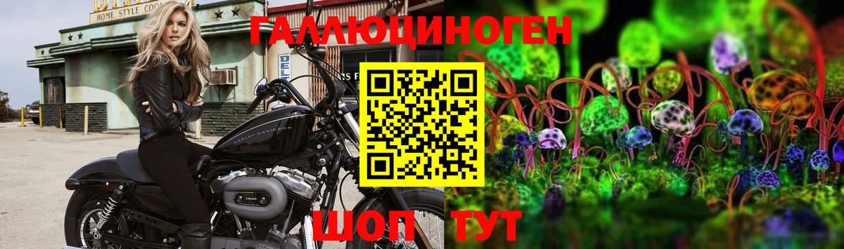 Галлюциногенные грибы Cubensis  Вход с VPN  Истра  Псилоцибиновые грибы Magic Shrooms 